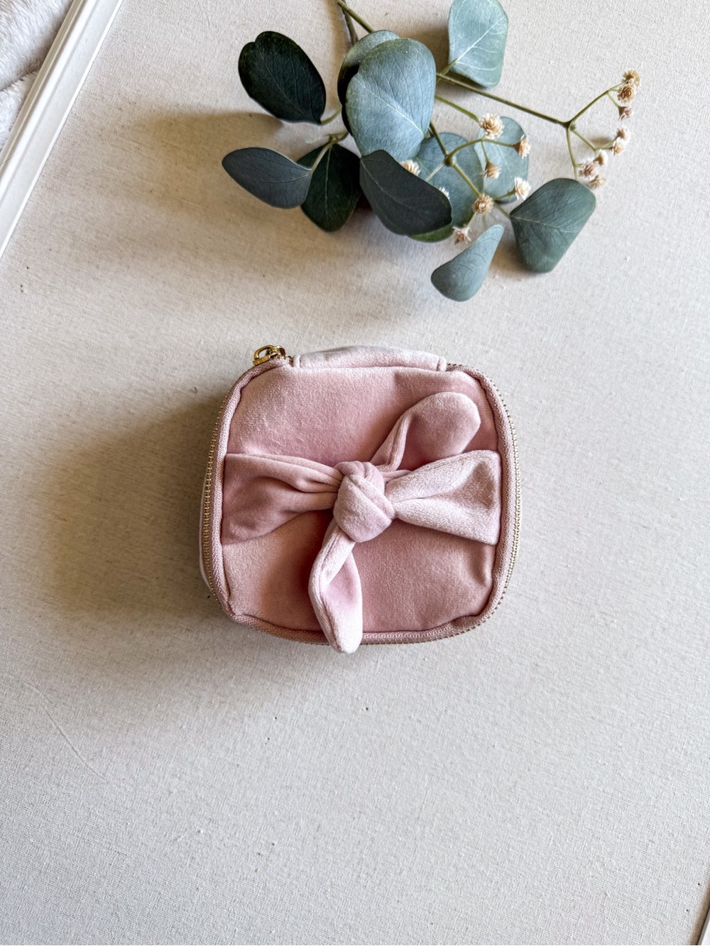 Blush Pink Travel Jewelry Case Organizer Compact Zip Storage